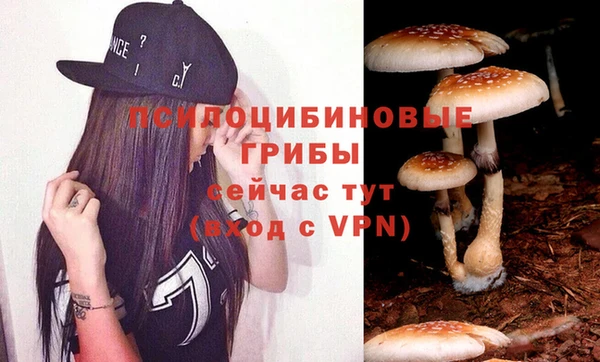 мескалин Алексин