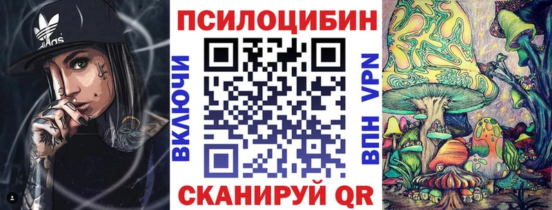 даркнет как зайти  Аткарск  Галлюциногенные грибы Magic Shrooms 